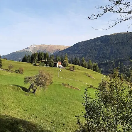 Moomooland